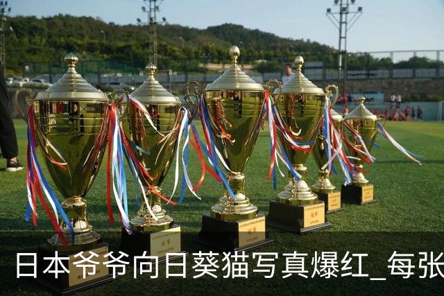 日本爷爷向日葵猫写真爆红 每张合照都成猫猫摔跤现场
